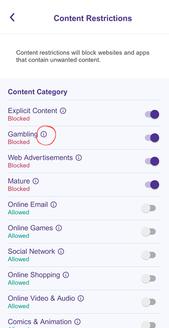 Captura de pantalla de la aplicación en la sección Filtros de contenido predeterminado para adolescentes por categoría
