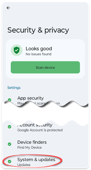 Ejemplo de captura de pantalla del menú de seguridad y privacidad