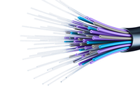 fiber fiber