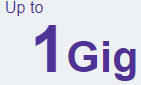 Up to 1 Gig Up to 1 Gig